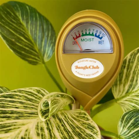 house plant moisture meter false high reading|humidity meter false readings.